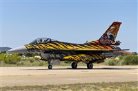 Fco Javier Garca Ruiz. Click to see full size photo