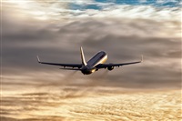 Javier de la Cruz - CANARY ISLANDS SPOTTING. Click to see full size photo