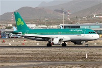 Alfonso Sols - Asociacin Canary Islands Spotting. Click to see full size photo