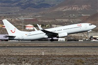 Alfonso Sols - Asociacin Canary Islands Spotting. Click to see full size photo