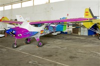 EC-ISM. Click to see full size photo