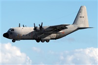 Florencio Martn Melin - Lanzarote Spotters. Click to see full size photo