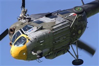 Tams. Click to see full size photo