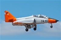 ©J. Victor Vega-Gran Canaria Spotters. Click to see full size photo ©J. Victor Vega-Gran Canaria Spotters. Click to see full size photo