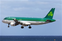 Florencio Martn Melin - Lanzarote Spotters. Haz click para ampliar