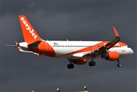 J. Victor Vega-Gran Canaria Spotters. Click to see full size photo