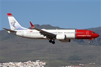 Alfonso Sols - Asociacin Canary Islands Spotting. Haz click para ampliar