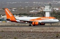 Alfonso Sols - Asociacin Canary Islands Spotting. Click to see full size photo