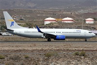 ©Alfonso Solís - Asociación Canary Islands Spotting. Click to see full size photo ©Alfonso Solís - Asociación Canary Islands Spotting. Click to see full size photo
