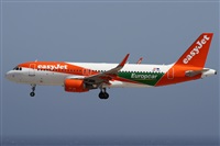©Alfonso Solís - Asociación Canary Islands Spotting. Click to see full size photo ©Alfonso Solís - Asociación Canary Islands Spotting. Click to see full size photo