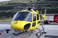 La Roche Spotters. Click to see full size photo