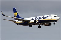 Alfonso Sols - Asociacin Canary Islands Spotting. Click to see full size photo