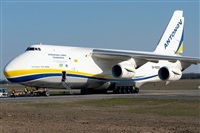 Tams. Click to see full size photo