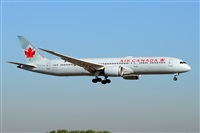 Miguel A. gueda Rguez.  (CANARY ISLANDS SPOTTING). Click to see full size photo