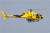 Alfonso Sols - Asociacin Canary Islands Spotting. Click to see full size photo