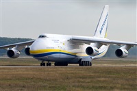 Tams. Click to see full size photo
