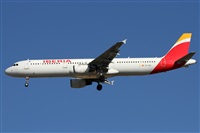 ©Alfonso Solís - Asociación Canary Islands Spotting. Click to see full size photo ©Alfonso Solís - Asociación Canary Islands Spotting. Click to see full size photo
