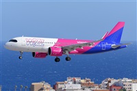 Miguel A. gueda Rguez.  (CANARY ISLANDS SPOTTING). Haz click para ampliar