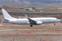 Miguel A. gueda Rguez.  (CANARY ISLANDS SPOTTING). Click to see full size photo