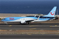 ©Alfonso Solís - Asociación Canary Islands Spotting. Click to see full size photo ©Alfonso Solís - Asociación Canary Islands Spotting. Click to see full size photo