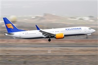 Miguel A. gueda Rguez.  (CANARY ISLANDS SPOTTING). Click to see full size photo