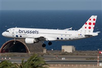 ©Adolfo Bento - Gran Canaria Spotters. Click to see full size photo ©Adolfo Bento - Gran Canaria Spotters. Click to see full size photo
