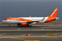 Alfonso Sols - Asociacin Canary Islands Spotting. Haz click para ampliar