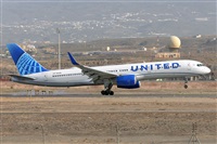 Miguel A. gueda Rguez.  (CANARY ISLANDS SPOTTING). Click to see full size photo