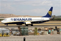 Alfonso Sols - Asociacin Canary Islands Spotting. Click to see full size photo