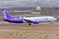 Miguel A. gueda Rguez.  (CANARY ISLANDS SPOTTING). Click to see full size photo