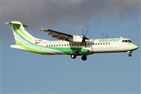 Alfonso Sols - Asociacin Canary Islands Spotting. Haz click para ampliar