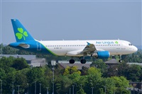 Miguel A. gueda Rguez.  (CANARY ISLANDS SPOTTING). Click to see full size photo