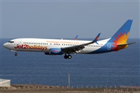 Alfonso Sols - Asociacin Canary Islands Spotting. Click to see full size photo