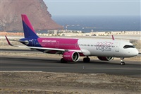 ©Alfonso Solís - Asociación Canary Islands Spotting. Click to see full size photo ©Alfonso Solís - Asociación Canary Islands Spotting. Click to see full size photo