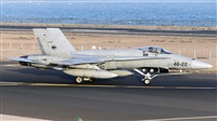 Florencio Martn Melin - Lanzarote Spotters. Haz click para ampliar
