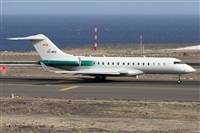 ©Alfonso Solís - Asociación Canary Islands Spotting. Click to see full size photo ©Alfonso Solís - Asociación Canary Islands Spotting. Click to see full size photo