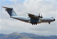 ©Alejandro H.L - Gran Canaria Spotters. Click to see full size photo ©Alejandro H.L - Gran Canaria Spotters. Click to see full size photo