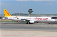 Miguel A. gueda Rguez.  (CANARY ISLANDS SPOTTING). Click to see full size photo