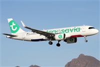 ©Alfonso Solís - Asociación Canary Islands Spotting. Click to see full size photo ©Alfonso Solís - Asociación Canary Islands Spotting. Click to see full size photo