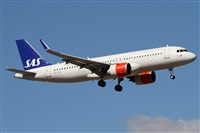 Alfonso Sols - Asociacin Canary Islands Spotting. Click to see full size photo