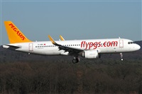 Daniel Schwinn. Click to see full size photo