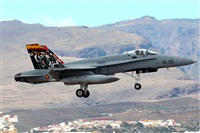 Manuel Fernandez. Click to see full size photo