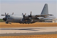 ©Juan Ojados. Click to see full size photo ©Juan Ojados. Click to see full size photo