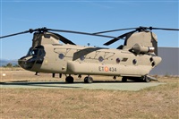 Sergio Cambronero - Asociacin AIRE. Click to see full size photo