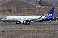 ©Alfonso Solís - Asociación Canary Islands Spotting. Click to see full size photo ©Alfonso Solís - Asociación Canary Islands Spotting. Click to see full size photo