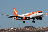 �Alfonso Sol�s - Asociaci�n Canary Islands Spotting. Click to see full-size photo