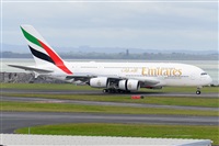 �Miguel A. �gueda Rguez.  (CANARY ISLANDS SPOTTING). Click to see full size photo