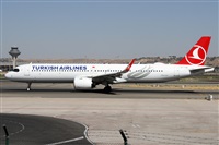 �Alfonso Sol�s - Asociaci�n Canary Islands Spotting. Click to see full size photo