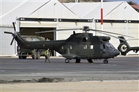 �Pedro M. Moreno. Click to see full size photo