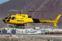 �Alfonso Sol�s - Asociaci�n Canary Islands Spotting. Click to see full size photo